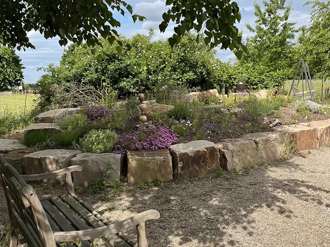 Vorgarten nach der Umgestaltung