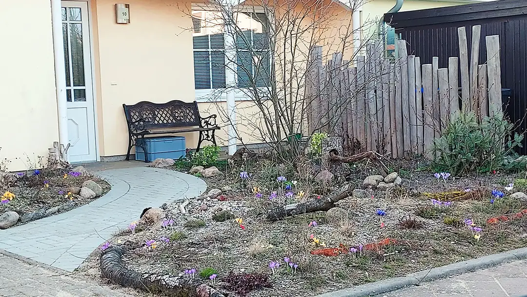 Vorgarten nach der Umgestaltung