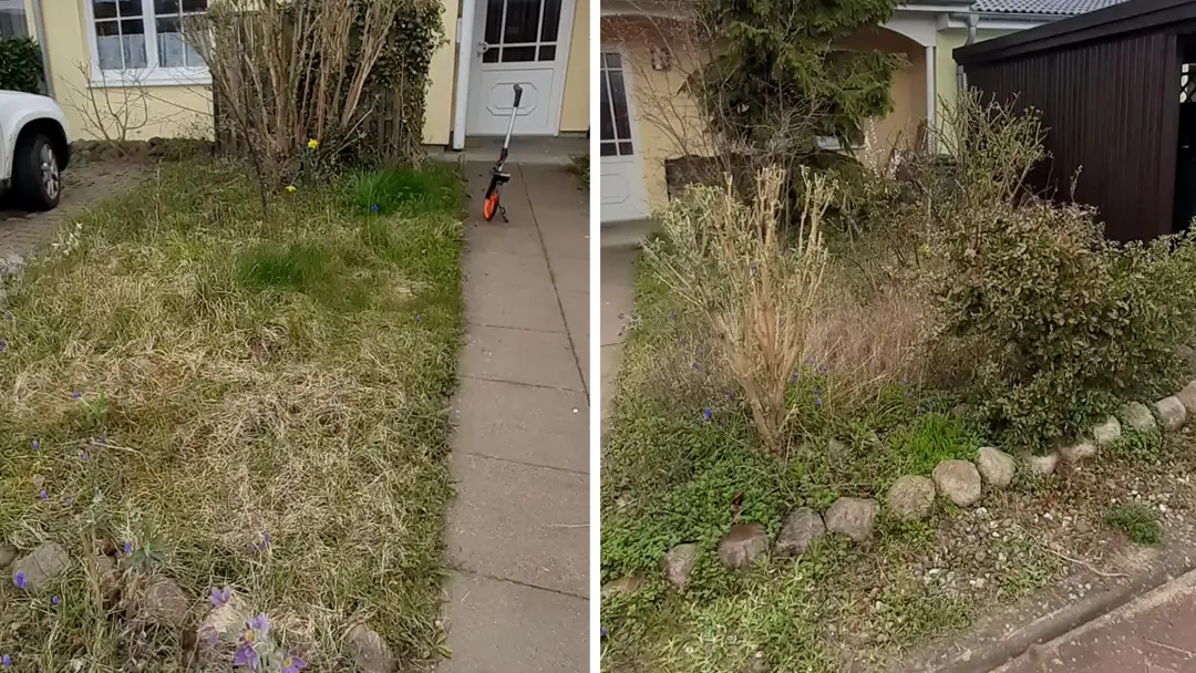 Vorgarten vor der Umgestaltung